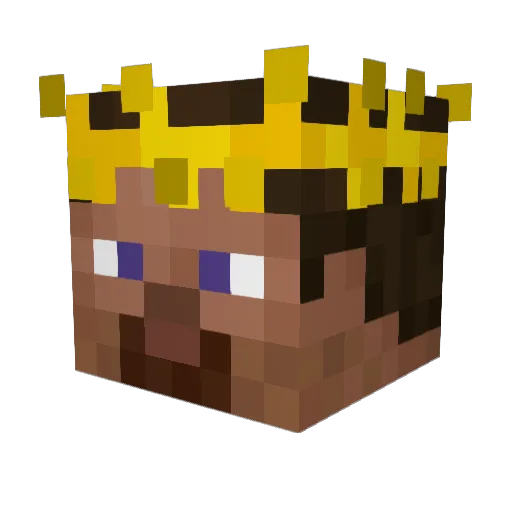 peewee9011 Minecraft avatar head, 3D render