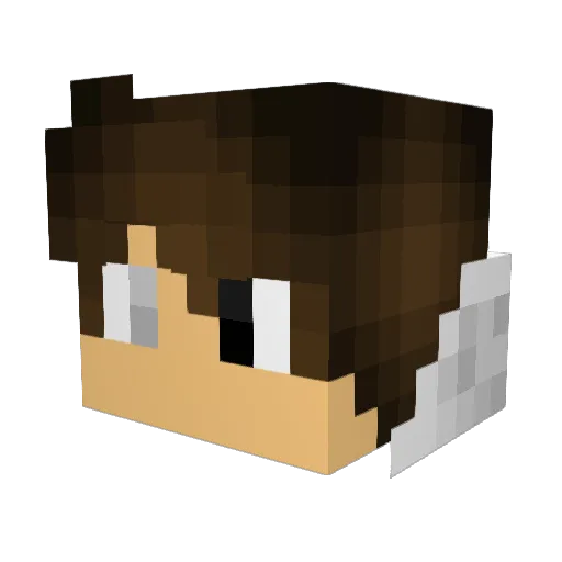 pefati Minecraft avatar head, 3D render