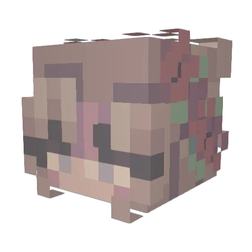 pehisthebest Minecraft avatar head, 3D render