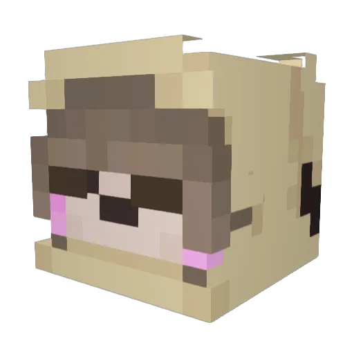 peiikko Minecraft avatar head, 3D render