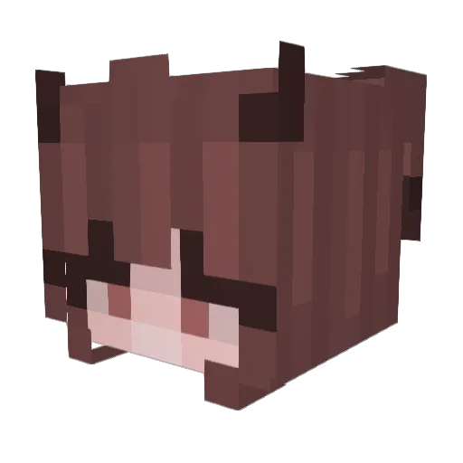 peilFM Minecraft avatar head, 3D render