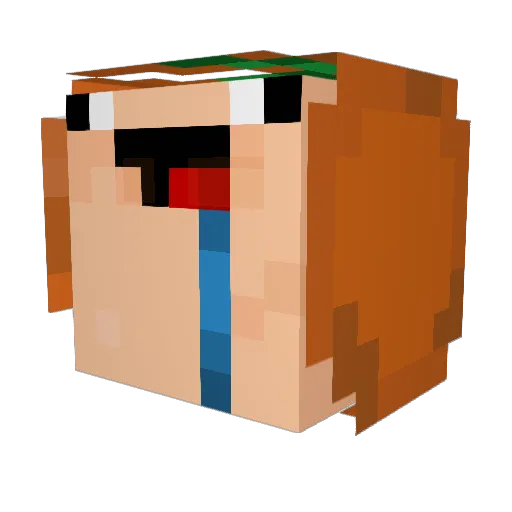 peixefrito262 Minecraft avatar head, 3D render