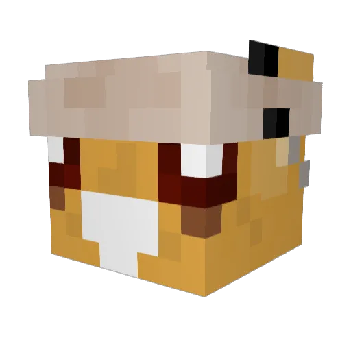 pejmaya Minecraft avatar head, 3D render