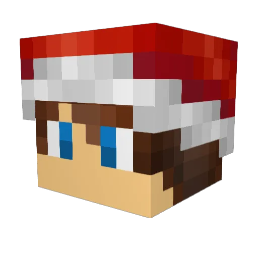 pejni Minecraft avatar head, 3D render