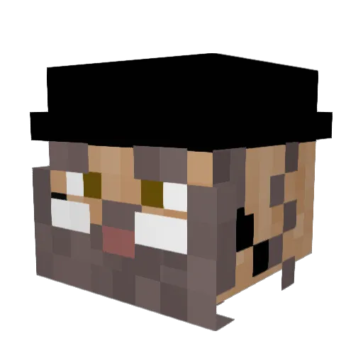 pejsaty8 Minecraft avatar head, 3D render