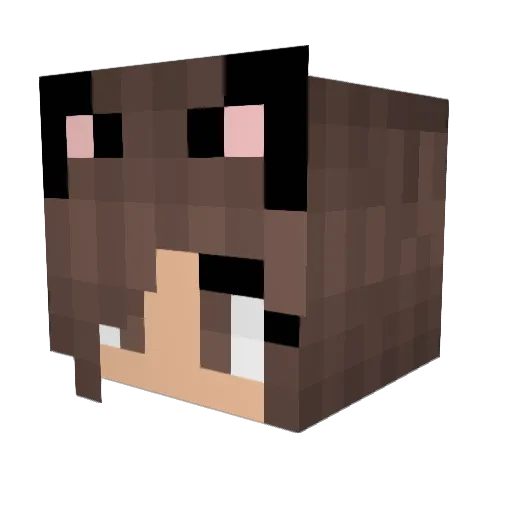 pekipekitas Minecraft avatar head, 3D render