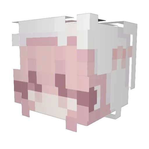 peksn Minecraft avatar head, 3D render