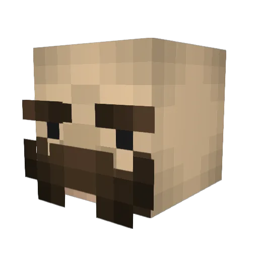 pel14 Minecraft avatar head, 3D render