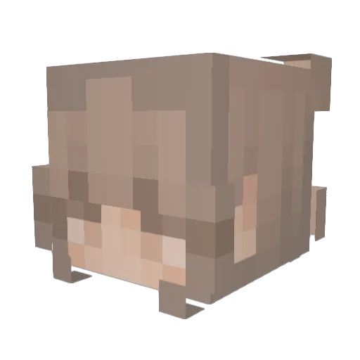 peledabola Minecraft avatar head, 3D render