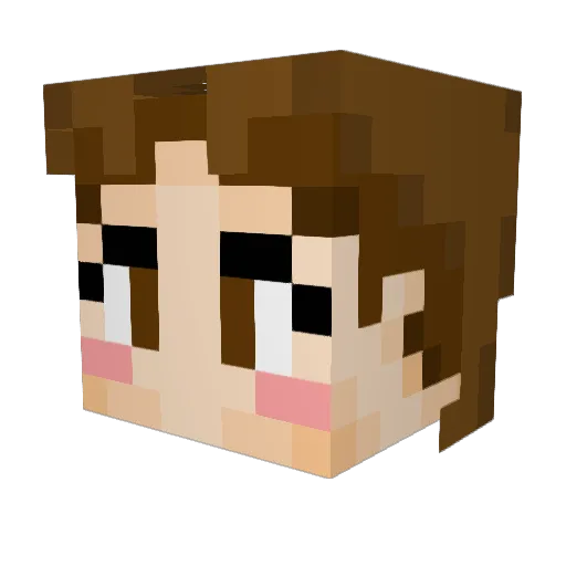 peliiinkondisbit Minecraft avatar head, 3D render