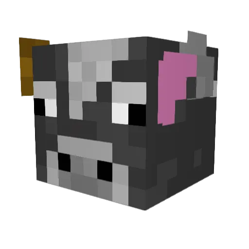 pelipper49 Minecraft avatar head, 3D render