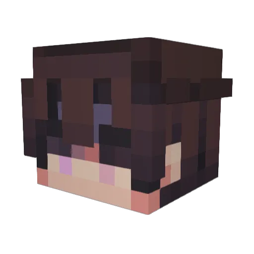 pelisons Minecraft avatar head, 3D render