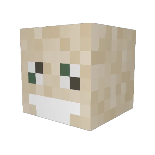 pelittaja1 Minecraft avatar head, 3D render