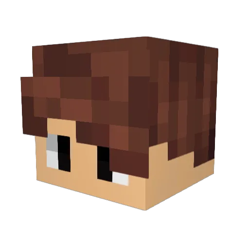 pelixgamer Minecraft avatar head, 3D render