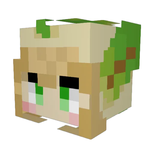 pellePumppu Minecraft avatar head, 3D render