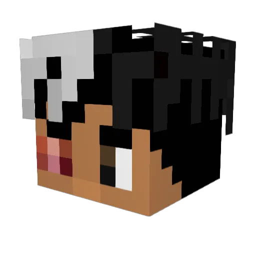 pellekage Minecraft avatar head, 3D render