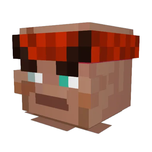 pellle2 Minecraft avatar head, 3D render
