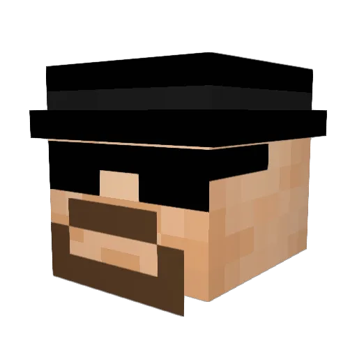 pelma Minecraft avatar head, 3D render