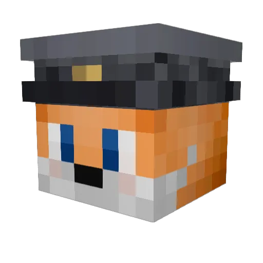 Minecraft-Avatar von pelmen964: Kopf als 3D-Render