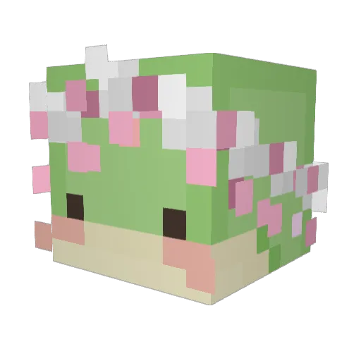 pelvisthrust6 Minecraft avatar head, 3D render
