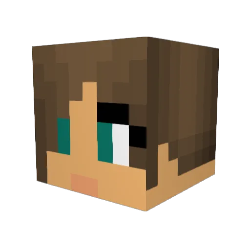 pemetz Minecraft avatar head, 3D render
