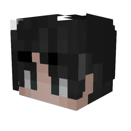 penPenguin1218 Minecraft avatar head, 3D render