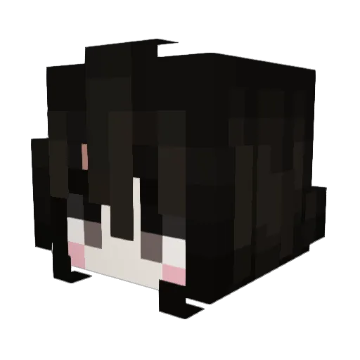 pencil_boy442 Minecraft avatar head, 3D render