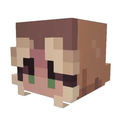 penelopia Minecraft avatar head, 3D render