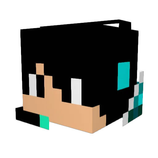 peng_peng_ Minecraft avatar head, 3D render