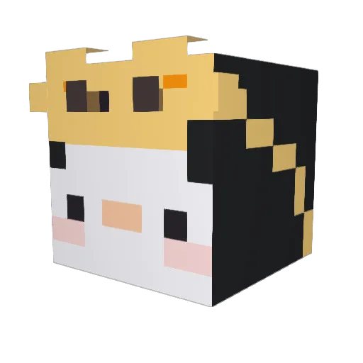 peng_sik Minecraft avatar head, 3D render