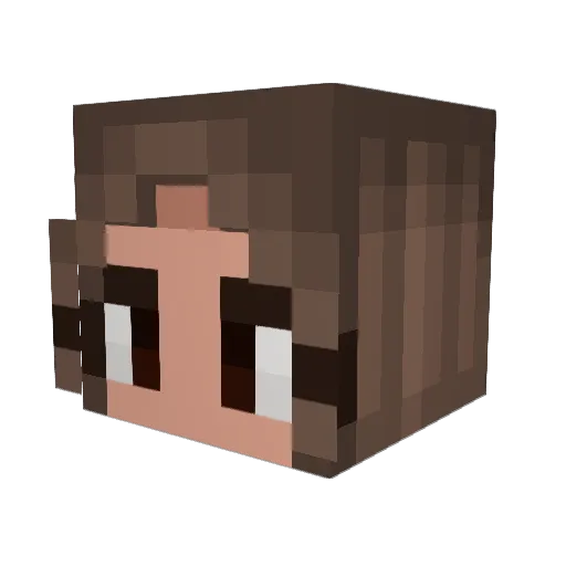pengloo_02 Minecraft avatar head, 3D render