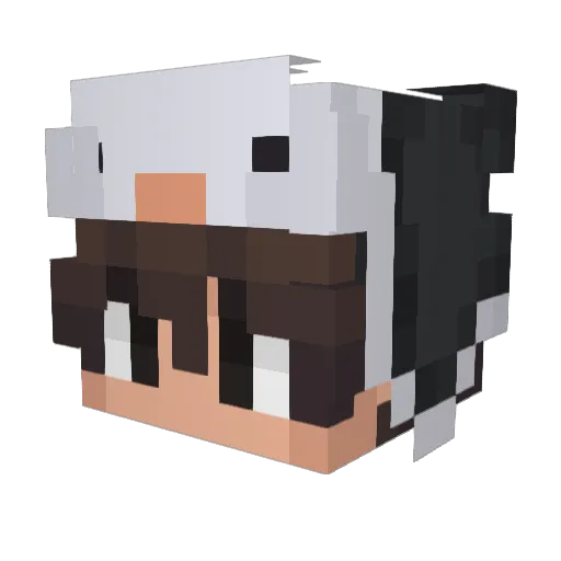 pengonn Minecraft avatar head, 3D render