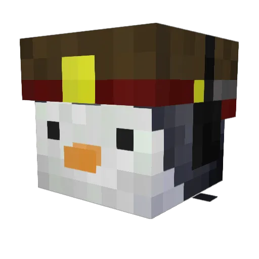 pengoo435 Minecraft avatar head, 3D render