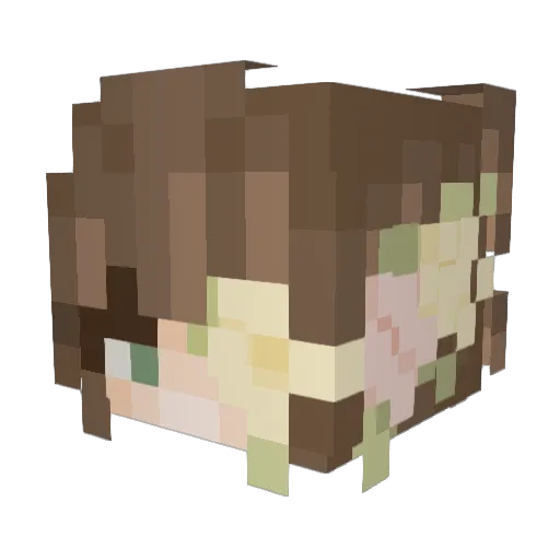 pengtastic69 Minecraft avatar head, 3D render