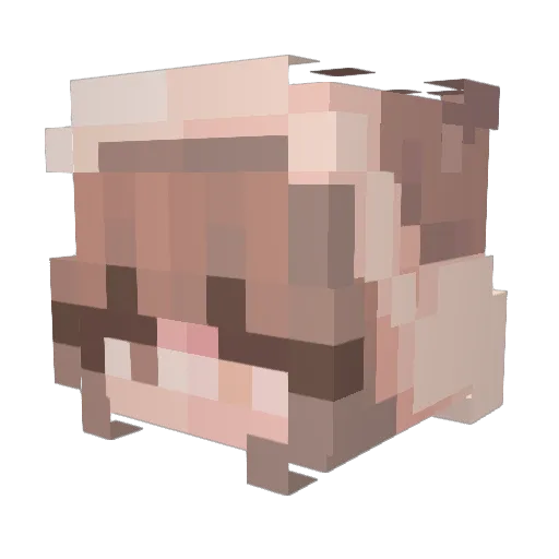 pengu1nari Minecraft avatar head, 3D render