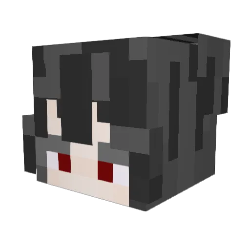 pengu_quack Minecraft avatar head, 3D render