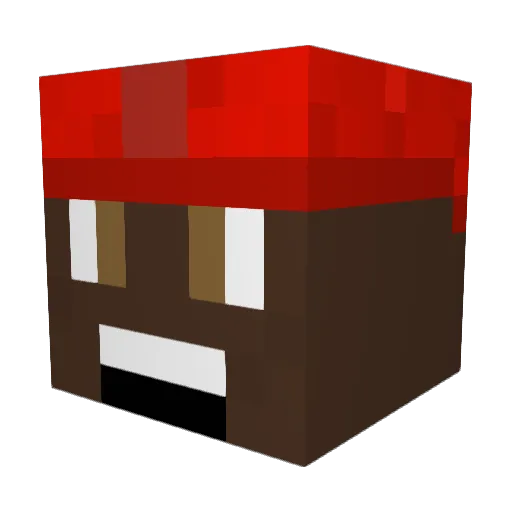 penguin0713 Minecraft avatar head, 3D render