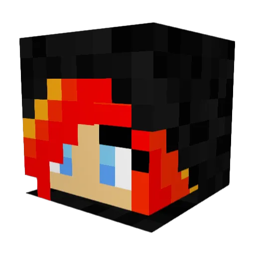 penguin1138 Minecraft avatar head, 3D render