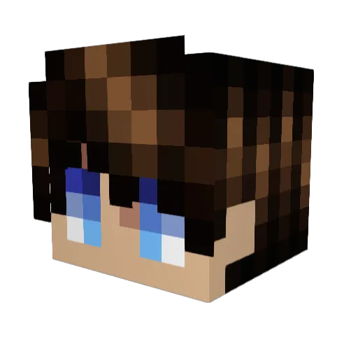 penguin1210 Minecraft avatar head, 3D render