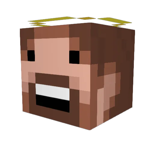 penguin1804 Minecraft avatar head, 3D render
