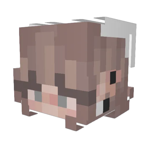 penguin4156 Minecraft avatar head, 3D render