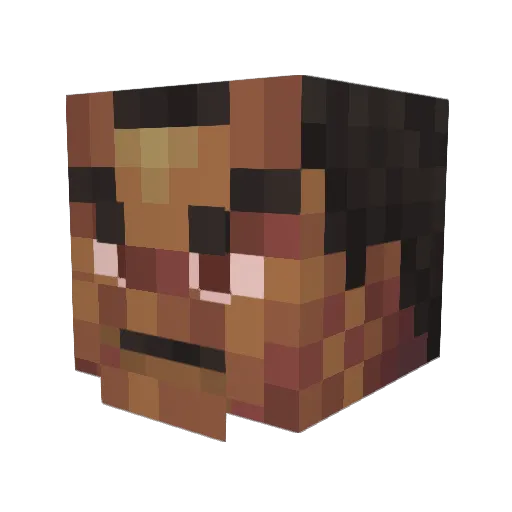penguin42069 Minecraft avatar head, 3D render