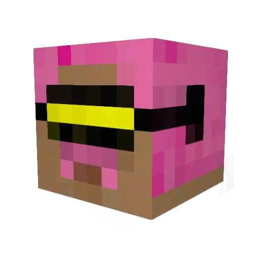 penguin5657 Minecraft avatar head, 3D render