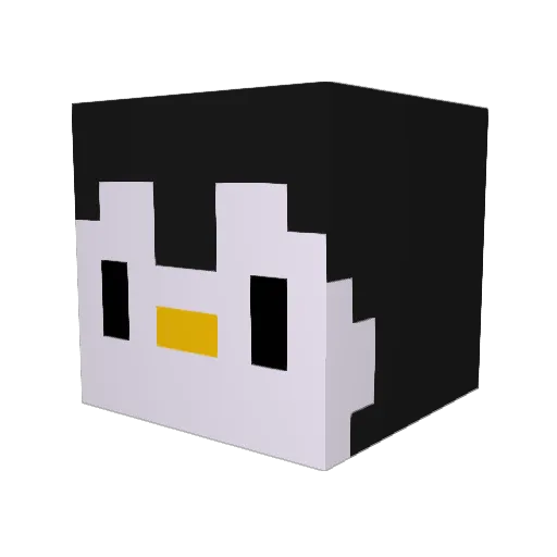 penguin_1117 Minecraft avatar head, 3D render