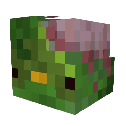 penguin_boiii Minecraft avatar head, 3D render