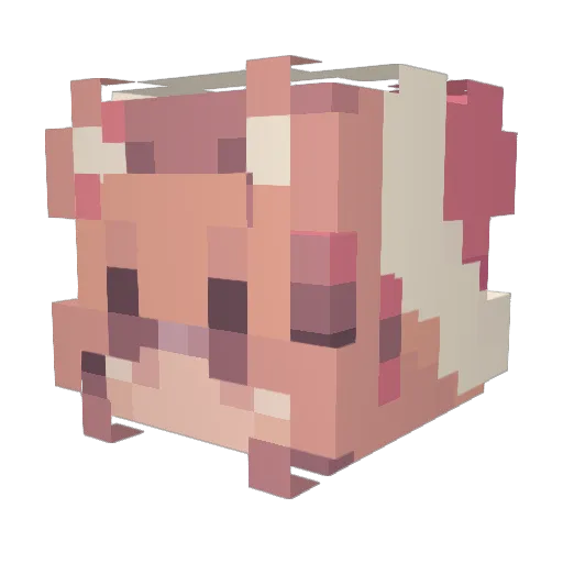 penguinb0i Minecraft avatar head, 3D render
