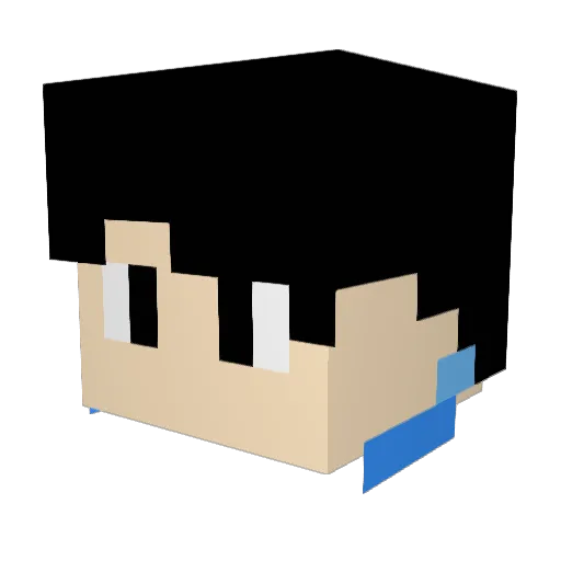 penguiner120 Minecraft avatar head, 3D render