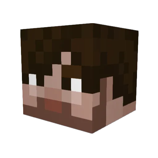 penguinflies Minecraft avatar head, 3D render