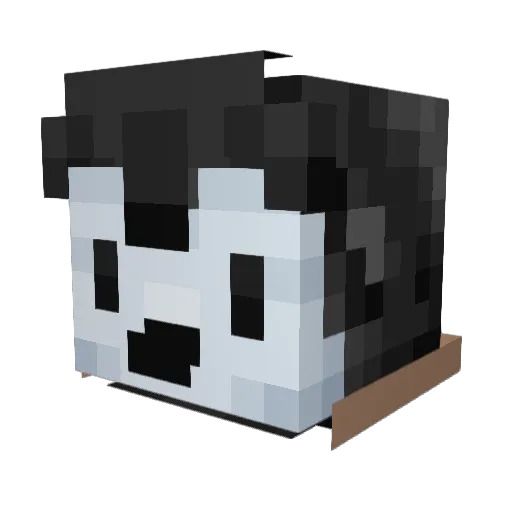 penguingamer75 Minecraft avatar head, 3D render