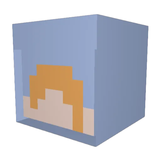 penguinguy618 Minecraft avatar head, 3D render